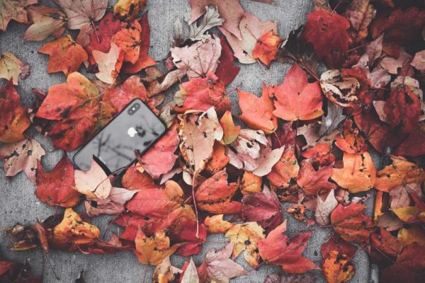 iPhone, Smartphone, Lost