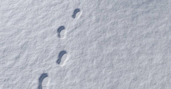 Footprint, surveillance