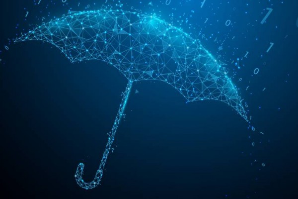 Digital Umbrella, Cyber insurance