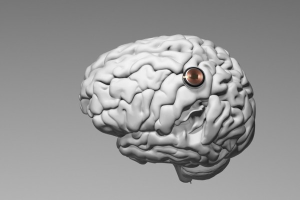 Computer-brain interface