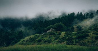 Fog over woody hills