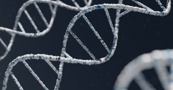 DNA
