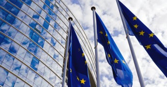 EU flags