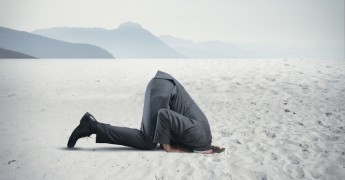 ostrich head in sand