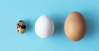 Small, medium & large eggs, business sizes