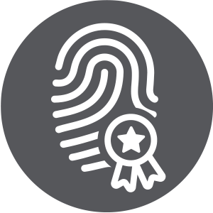 Shield Icon