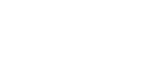Privacy Icon